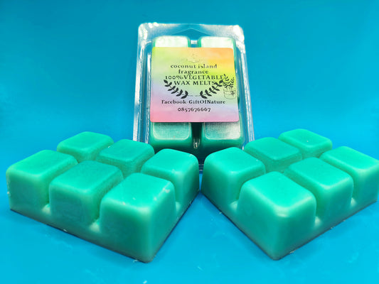 Vegetable wax melts - Coconut Island
