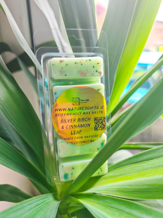 Eco wax melts - Silver birch and cinnamon leaf